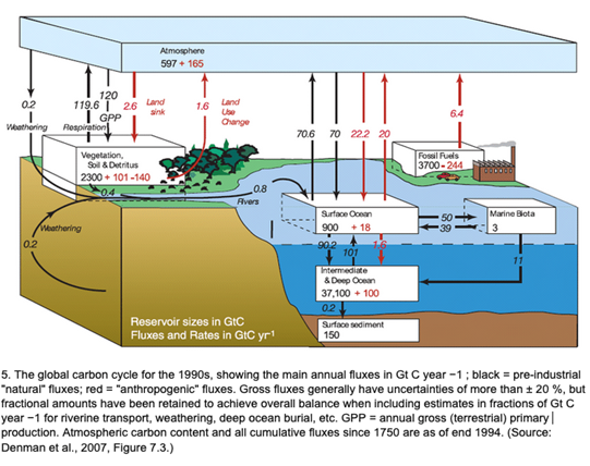 graph explaining natural flows and stocks of carbon attributed to Nature and human activity